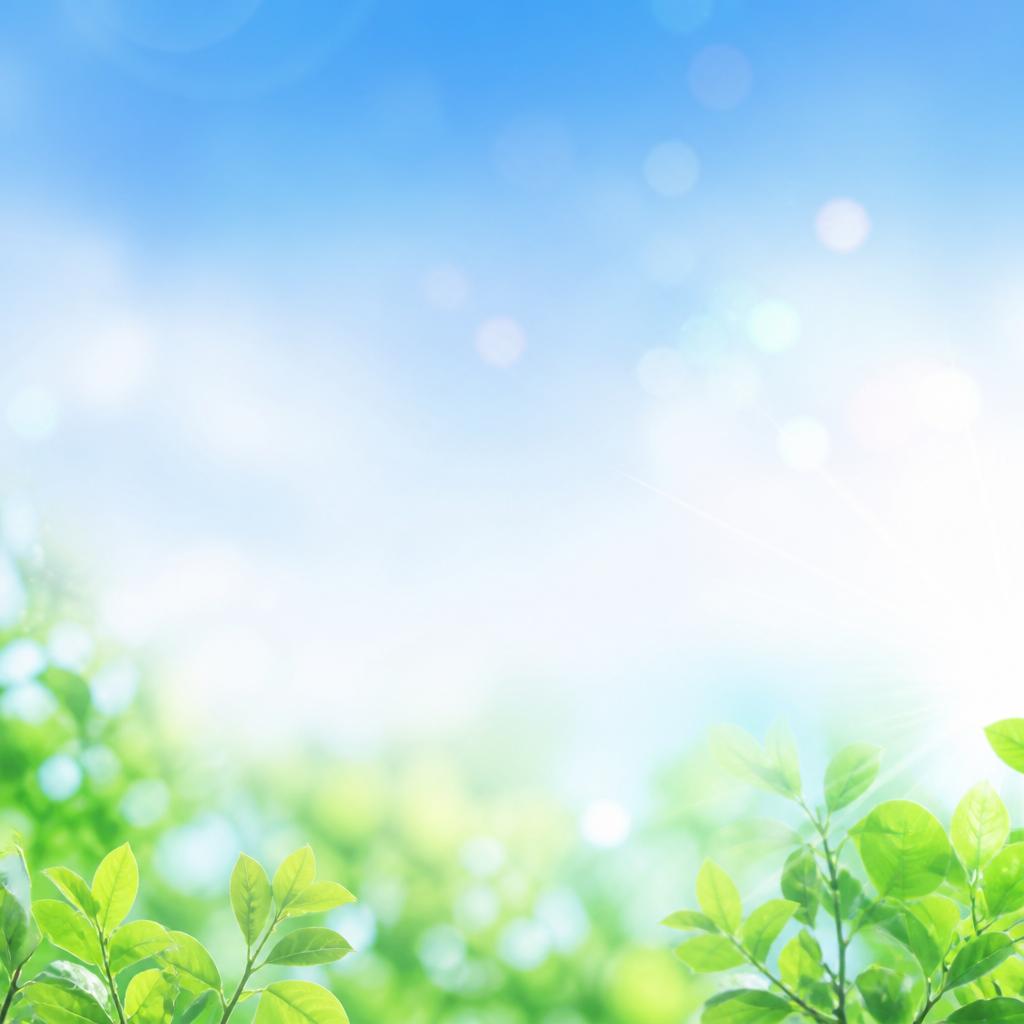 今すぐエントリー！夢を実現する第一歩を踏み出そう