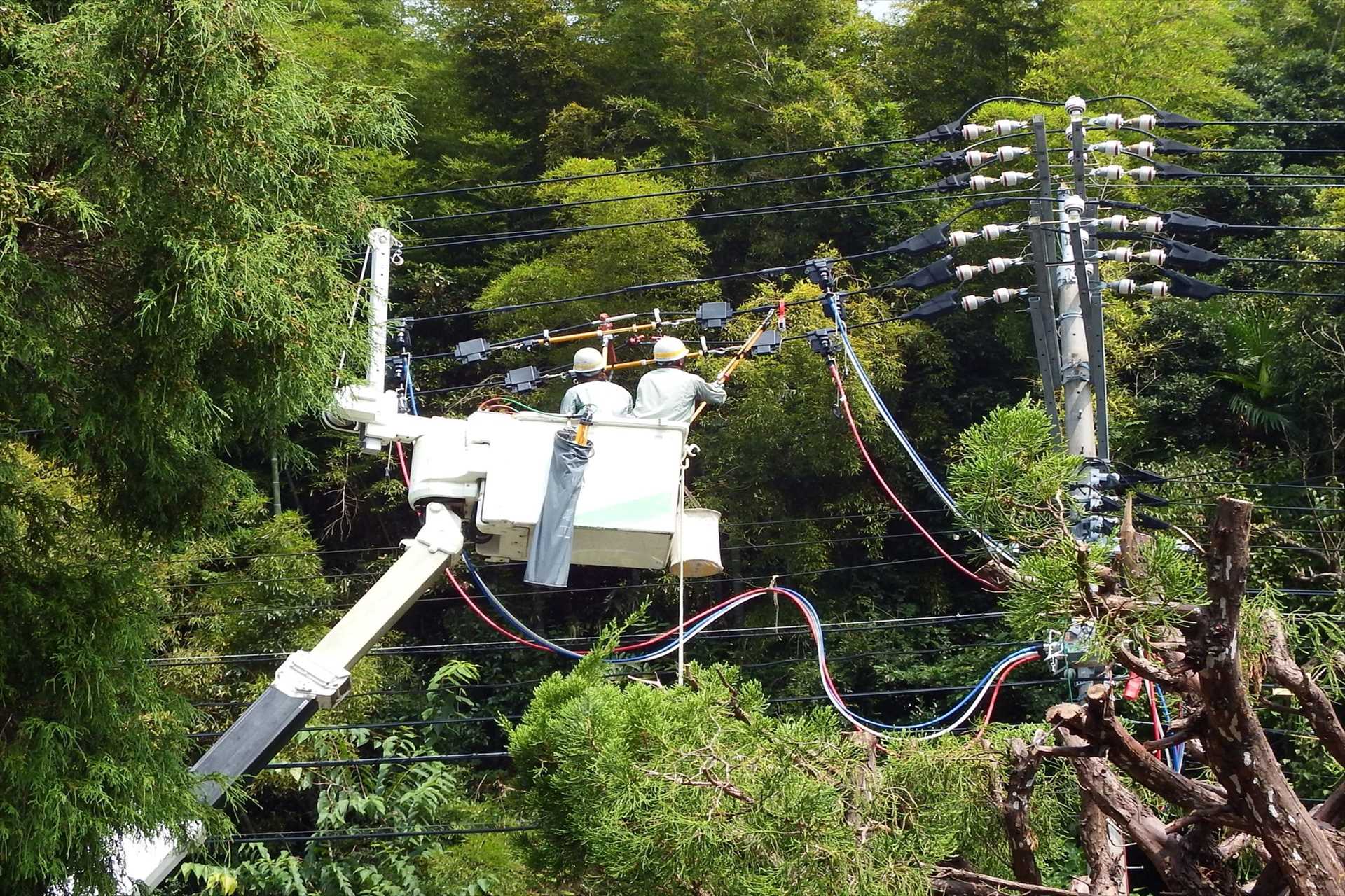 活線工事を行うスタッフ